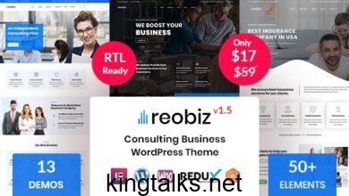 Reobiz 3.2 - Consulting Business WordPress Theme